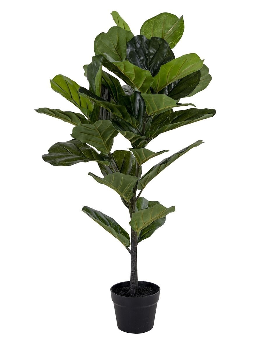 House Nordic Lyyraviikuna tekokasvi 100 cm