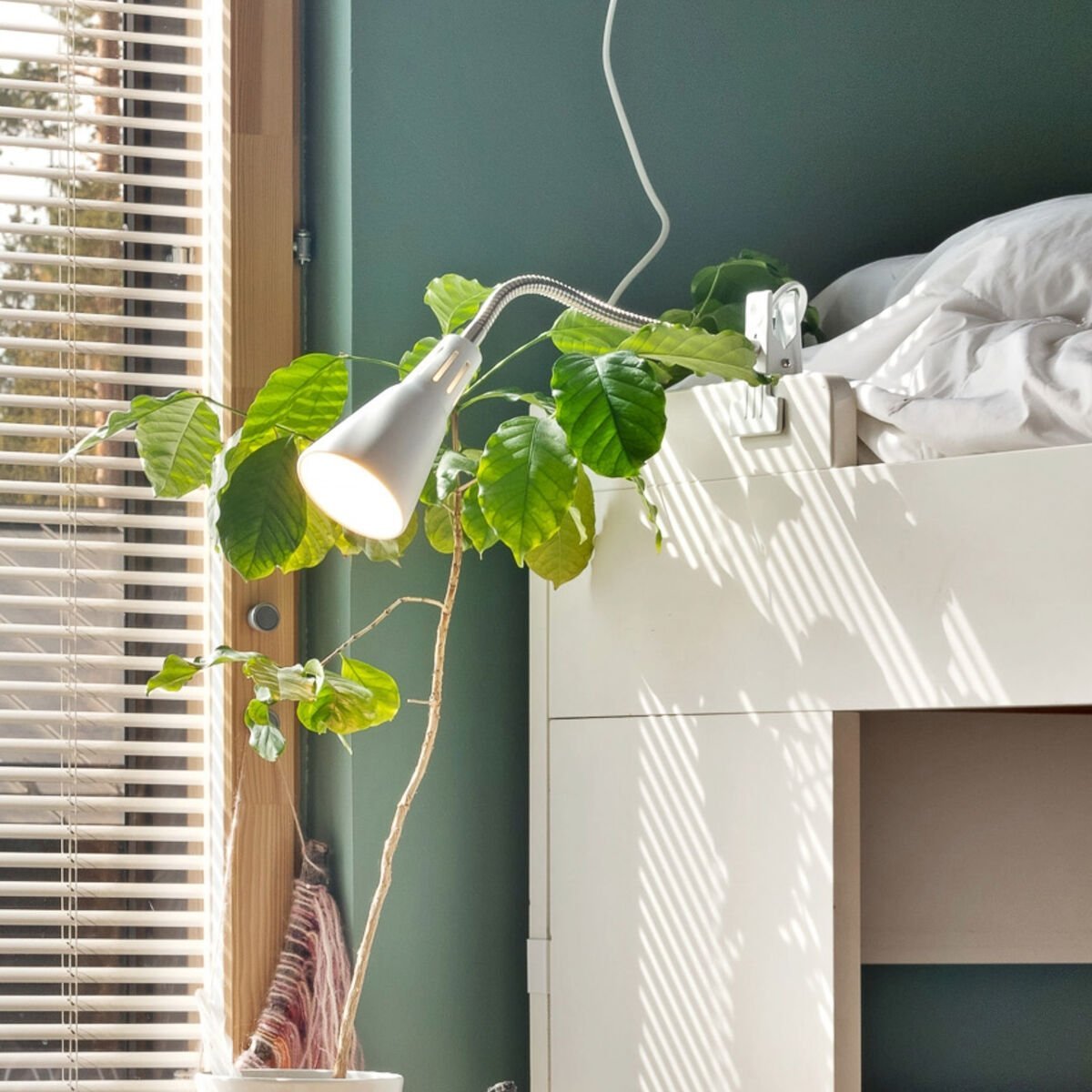 Sessak Cruz klipsivalaisin valkoinen