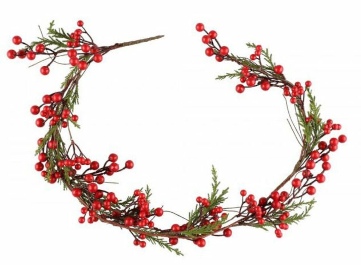 Winteria Marjat köynnös 140 cm