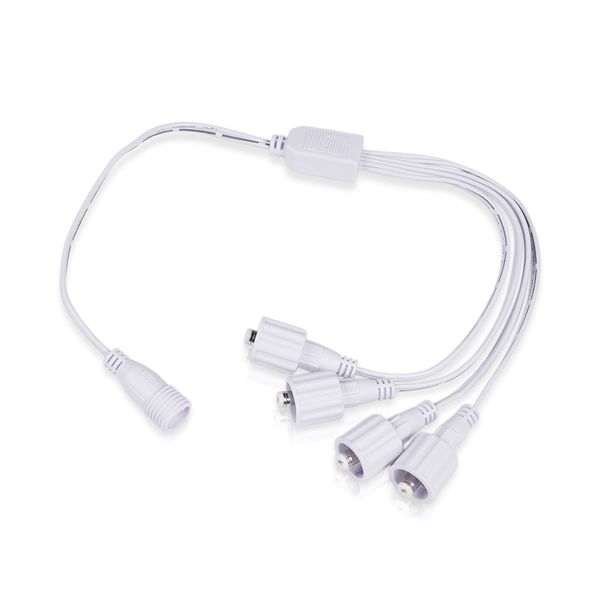 LED-nauhan haaroitinjohto AGGE, IP20/IP65, 4-haarainen kosteisiin tiloihin (IP65)
