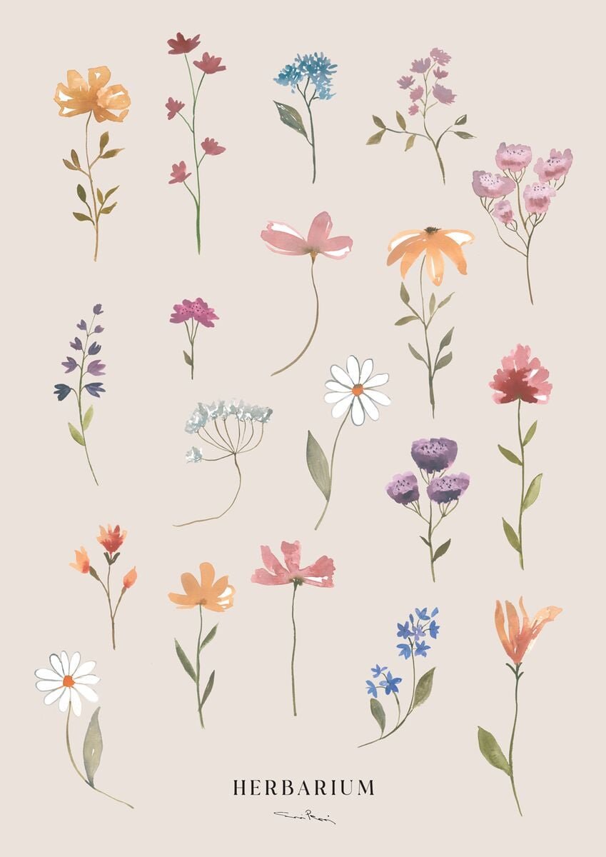 Kaverini Herbarium juliste 30x40 cm