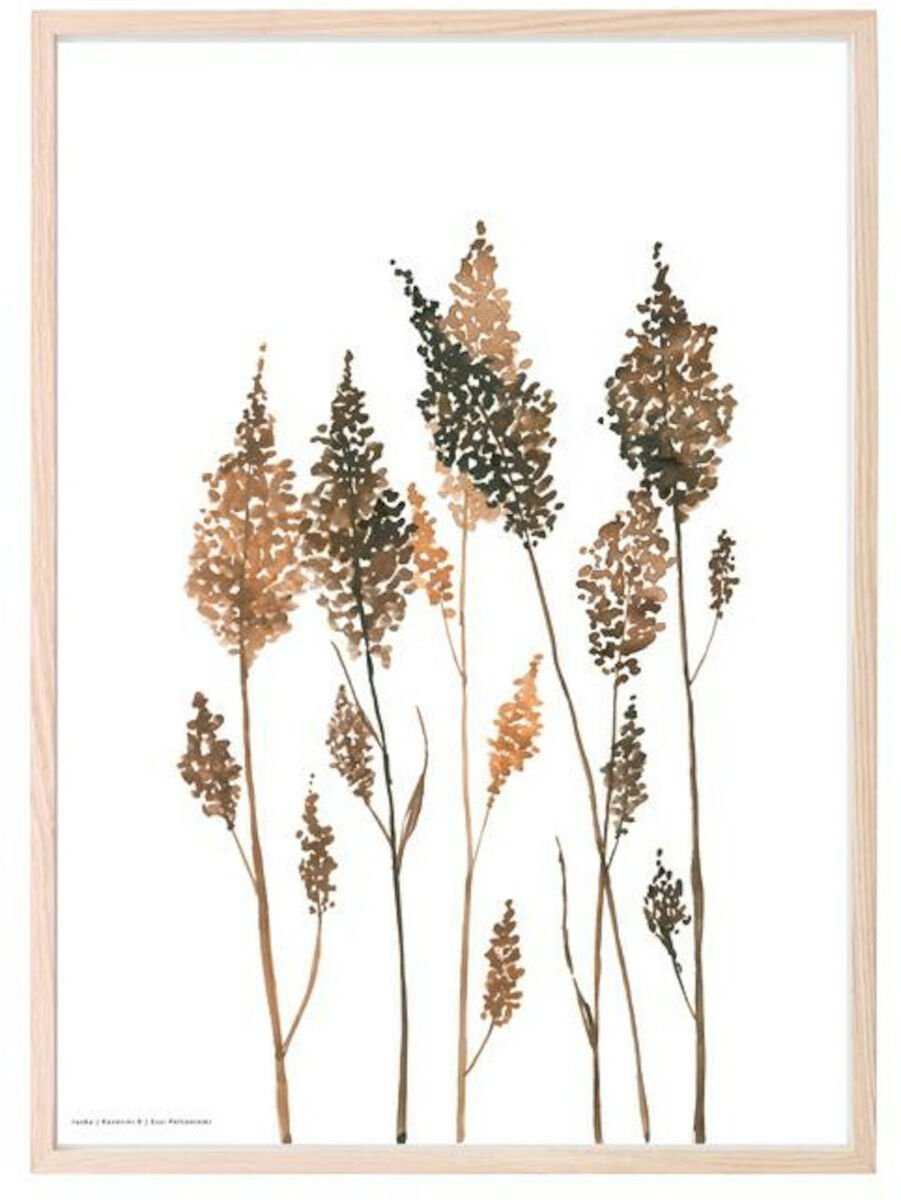 Kaverini Ruska juliste 50x70 cm