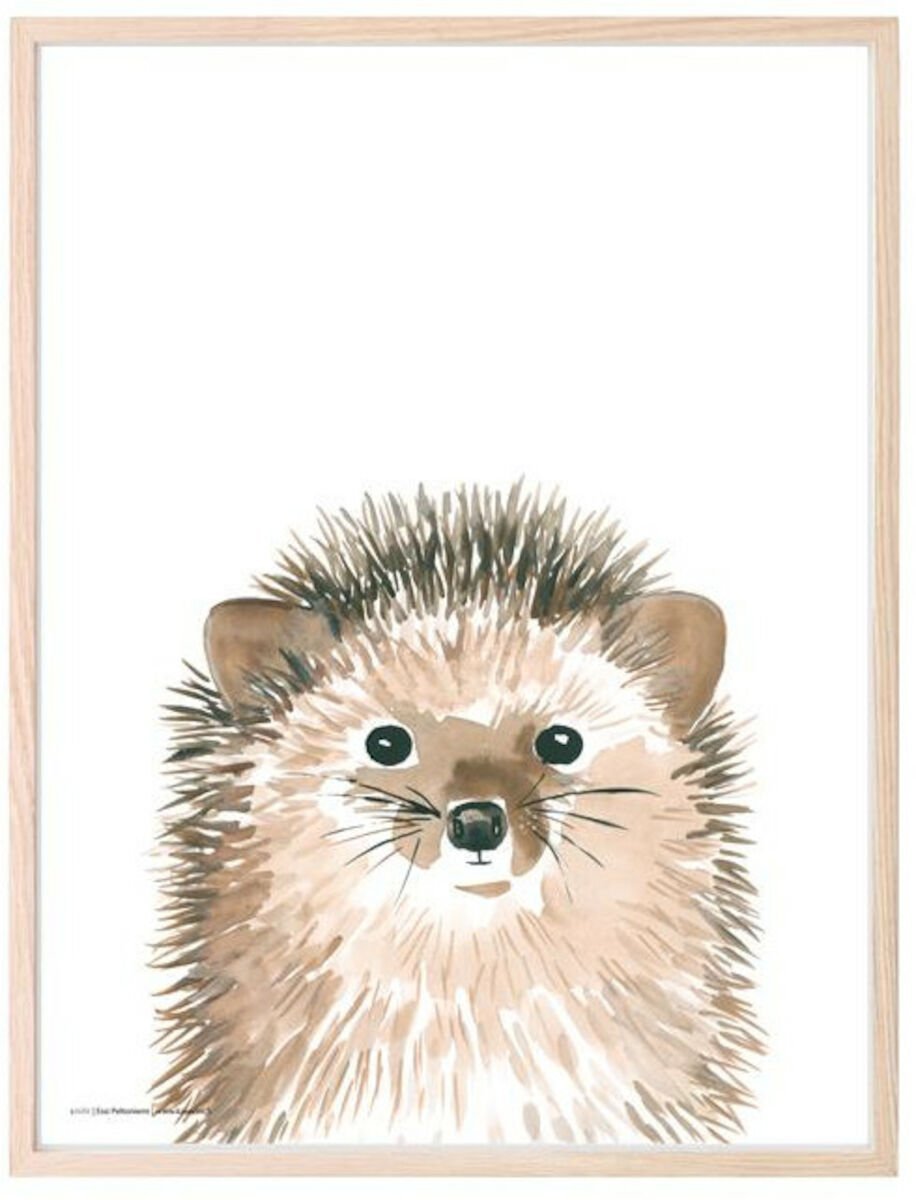 Kaverini Siili juliste 30x40 cm