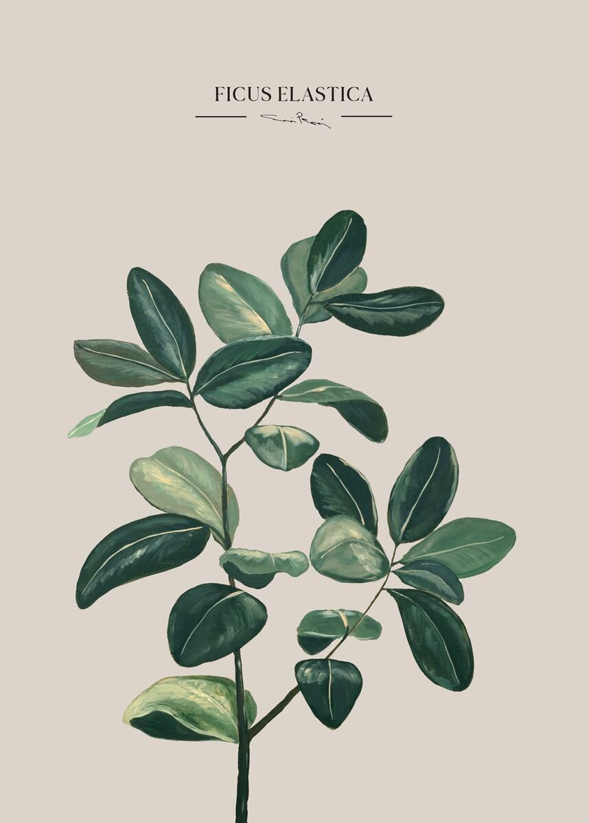 Kaverini Kumiviikuna juliste 30x40 cm