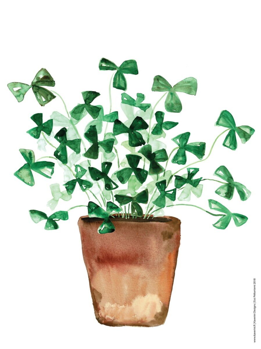 Kaverini Onnenapila juliste 30x40 cm