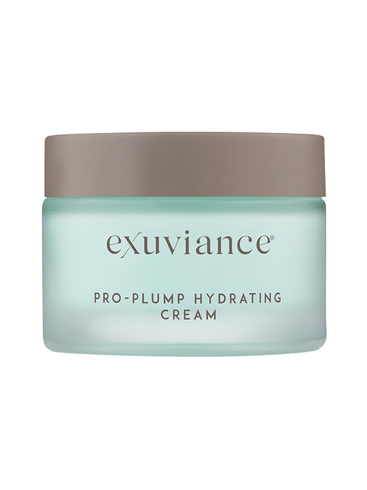 Pro-plump hydrating cream -voide