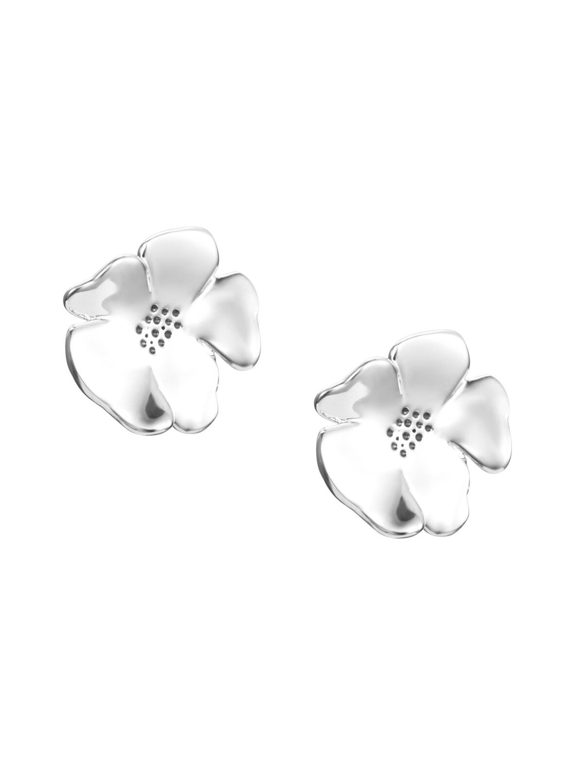 Violet-hopeakorvakorut