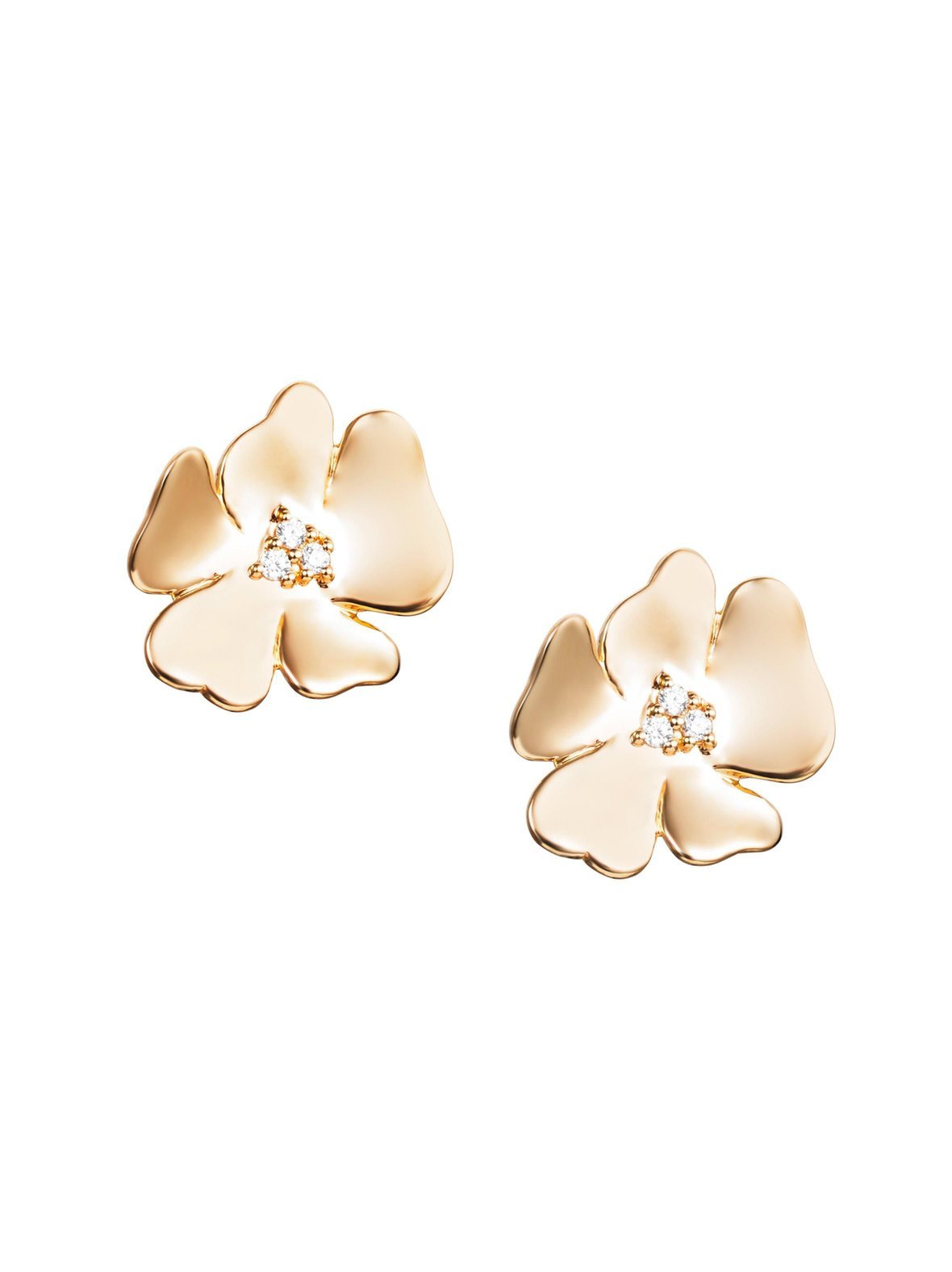 Violet & stars -korvakorut