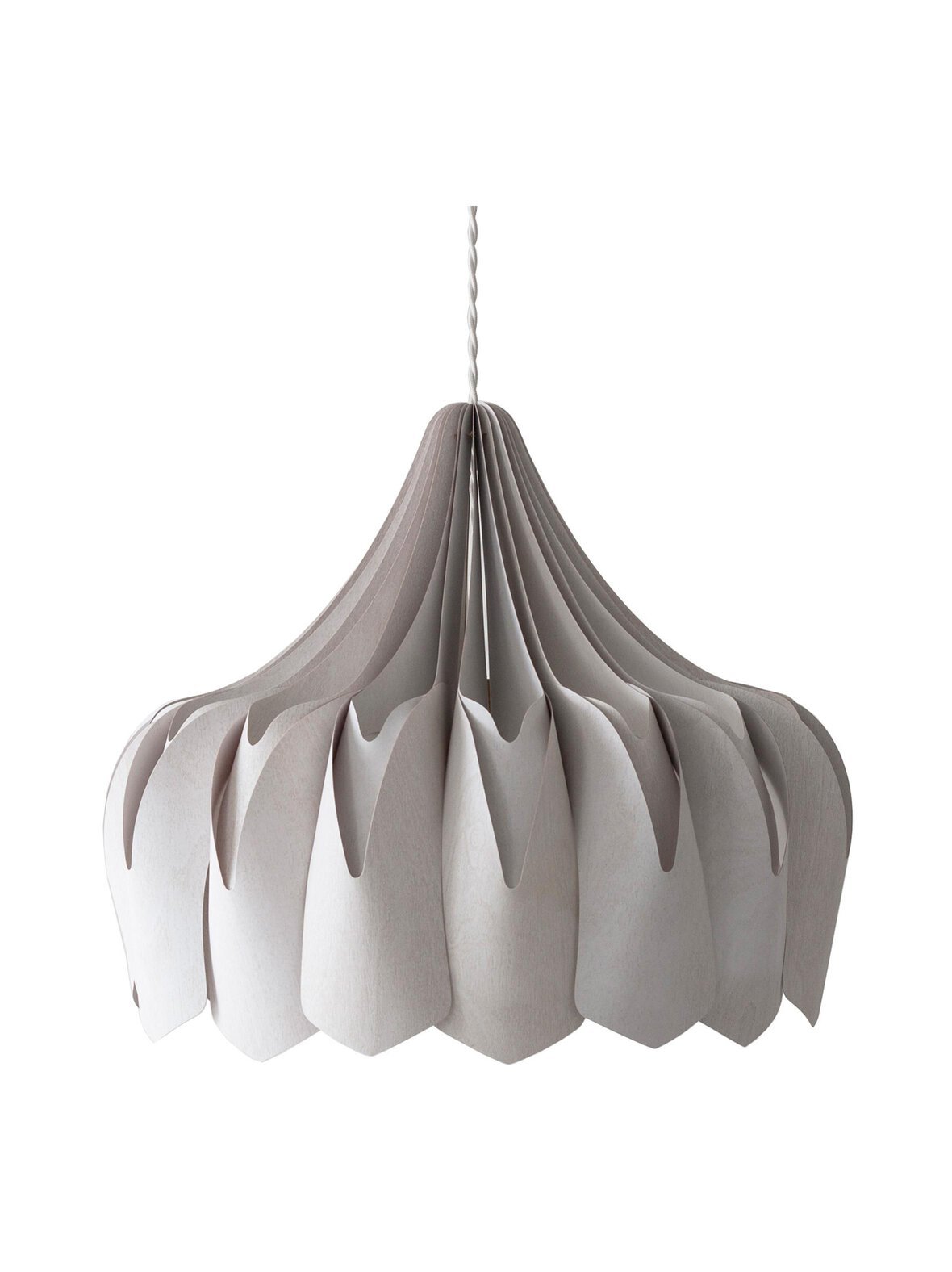 Pioni l -kattovalaisin