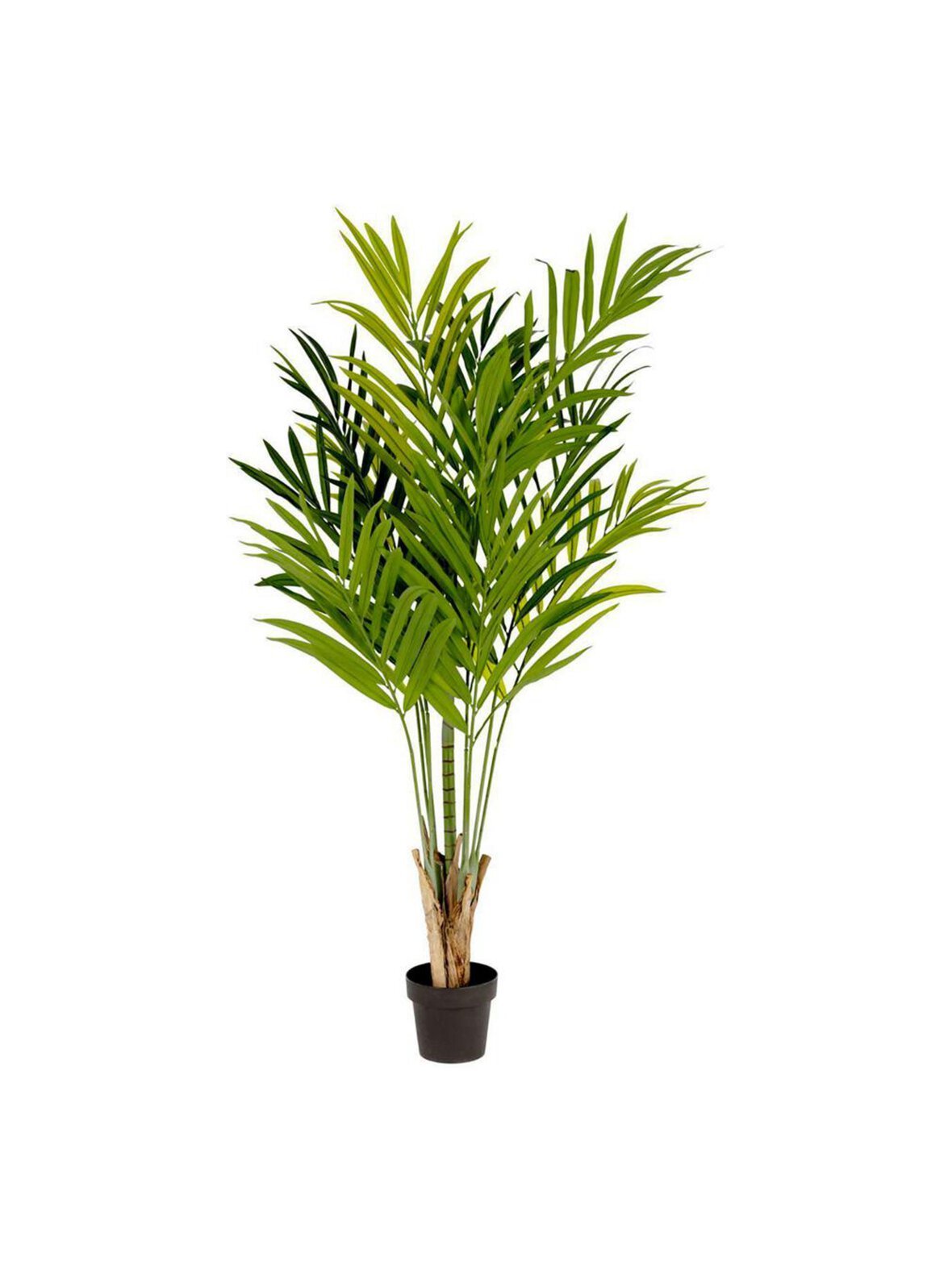 Palmera-tekokasvi k 170 cm
