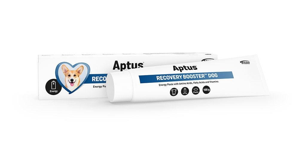 Aptus Recovery Booster Dog 100 g