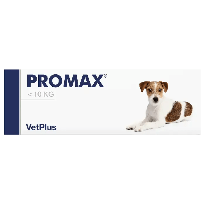 Promax oraalipasta Akuutin ripulin hoitoon koirille, kissoille ja kaneille ml