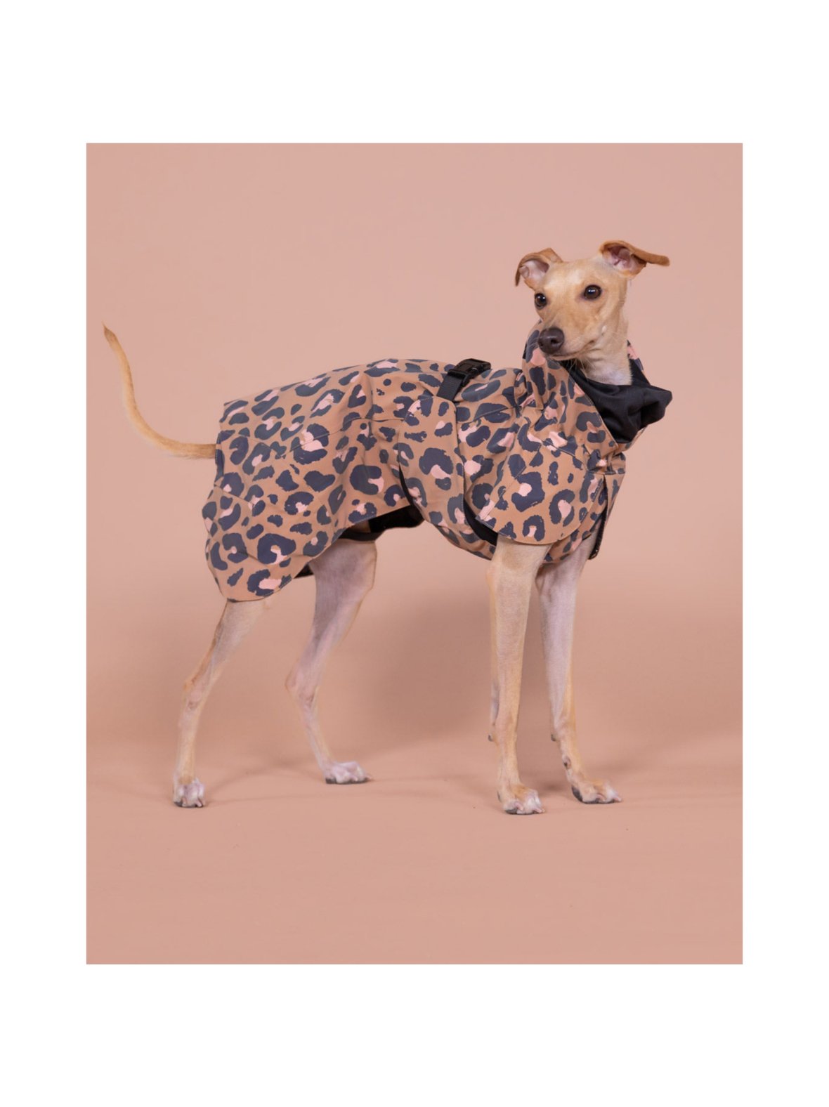 Visibility raincoat lite leopard for dogs