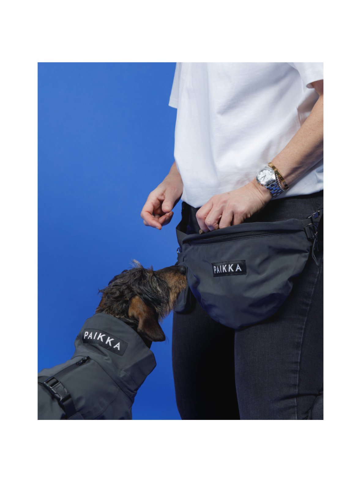 Visibility treat bag  dark