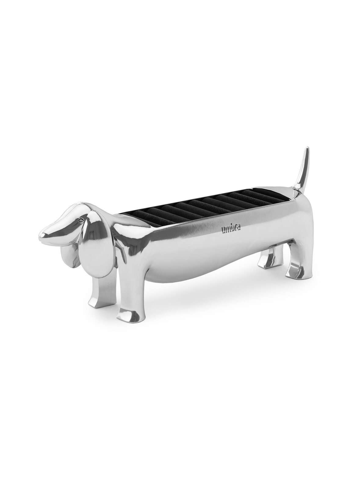 Dachsie chrome -sormusrasia