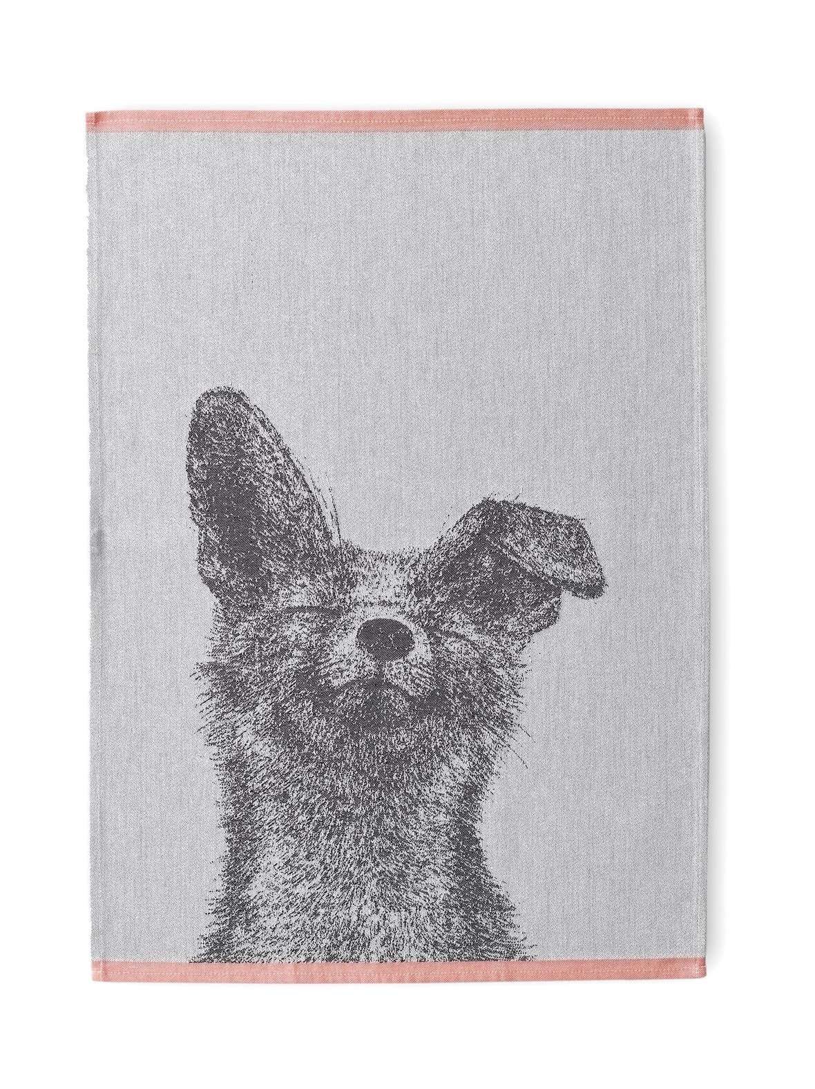 Kettu-keittiöpyyhe 50 x 70 cm, 2 kpl