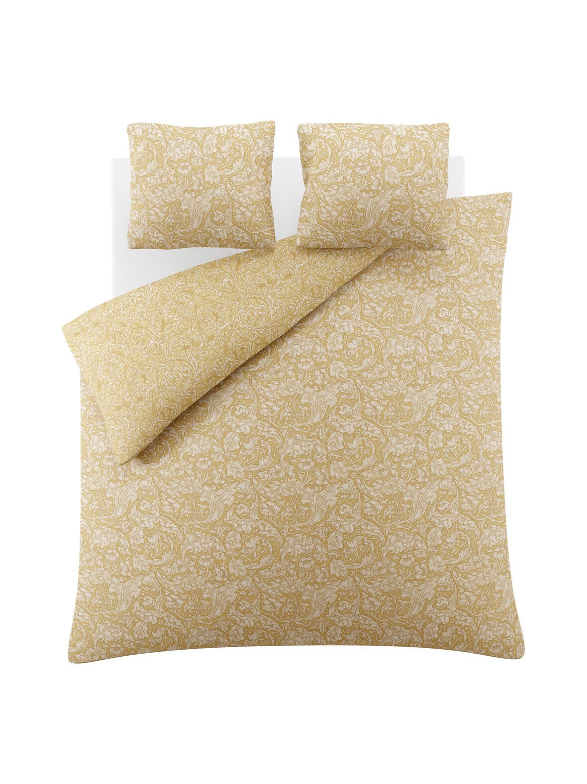 Bachelor-pussilakanasetti