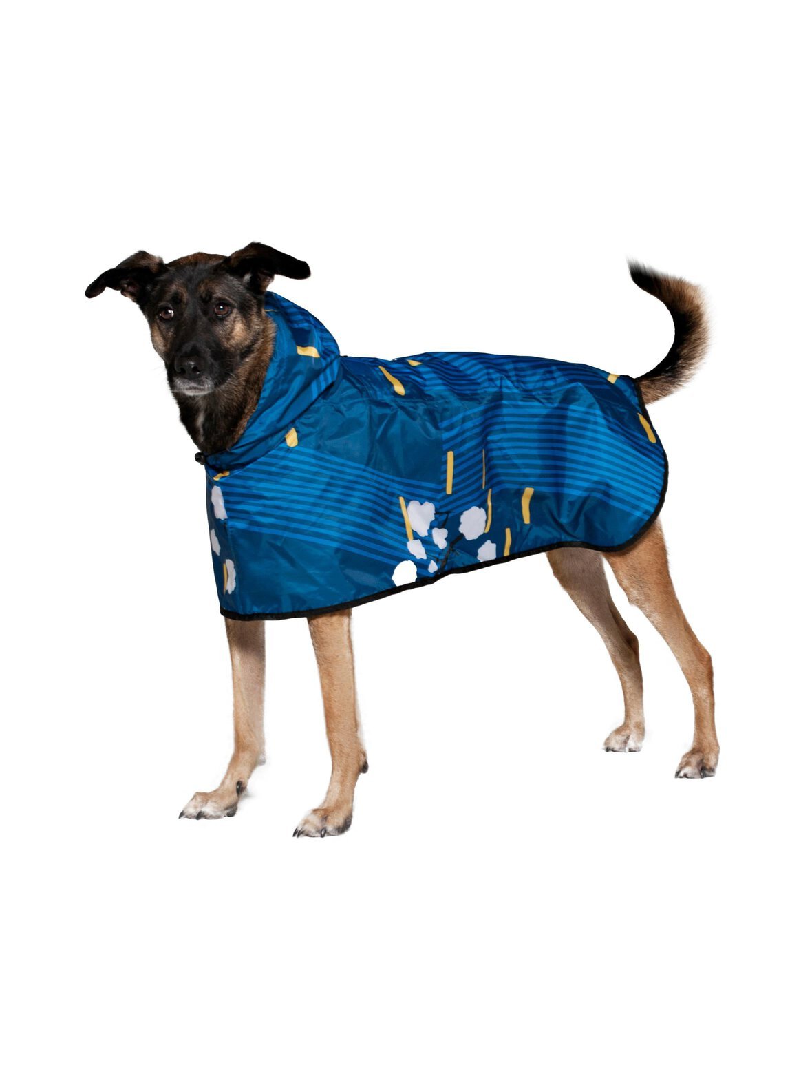 Japanese blossom -koiran sadetakki