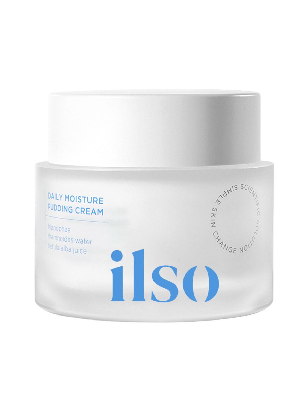 Daily moisture pudding cream-kasvovoide