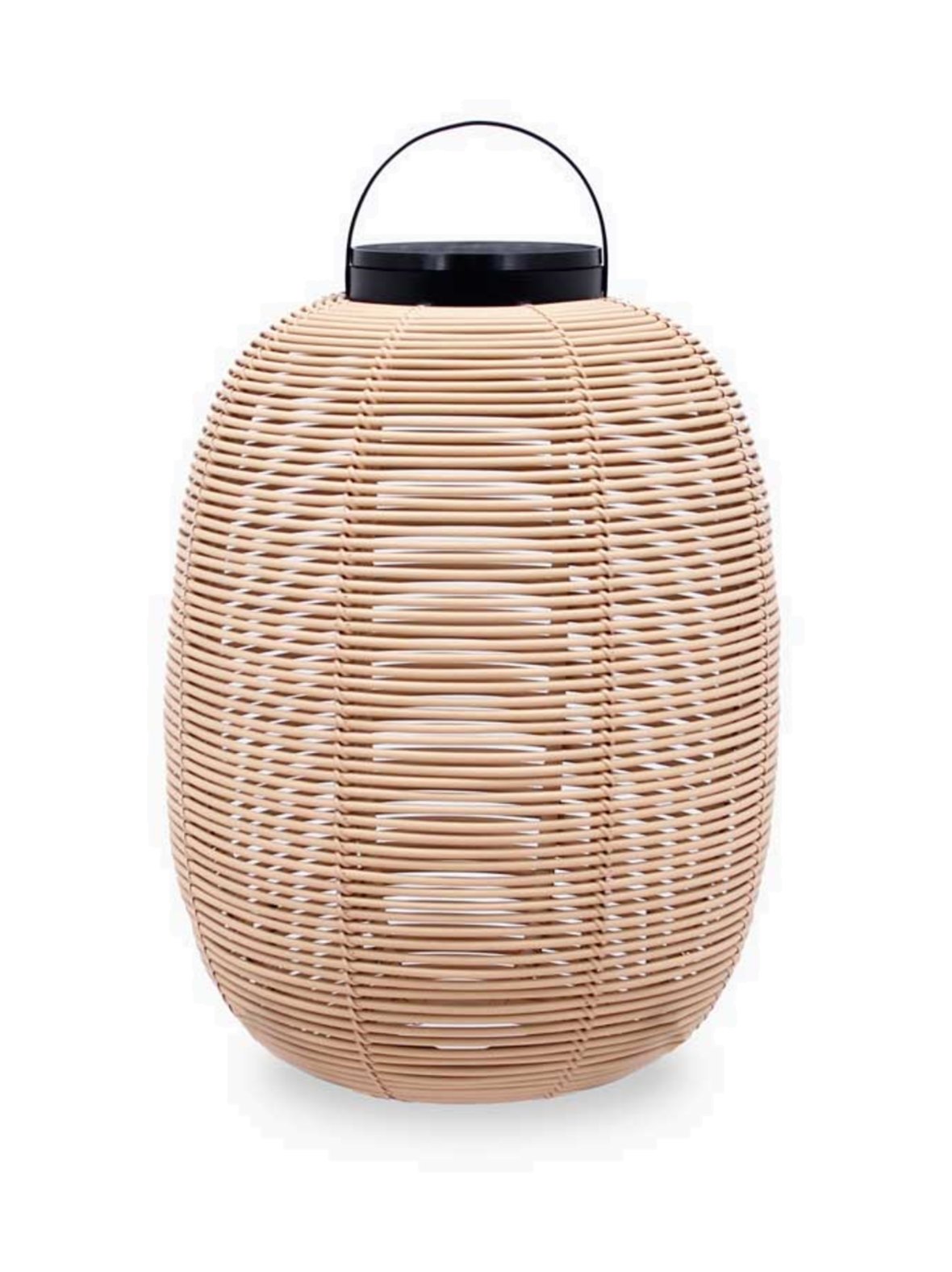 Aurinkokennovalaisin tika 59 cm, camel