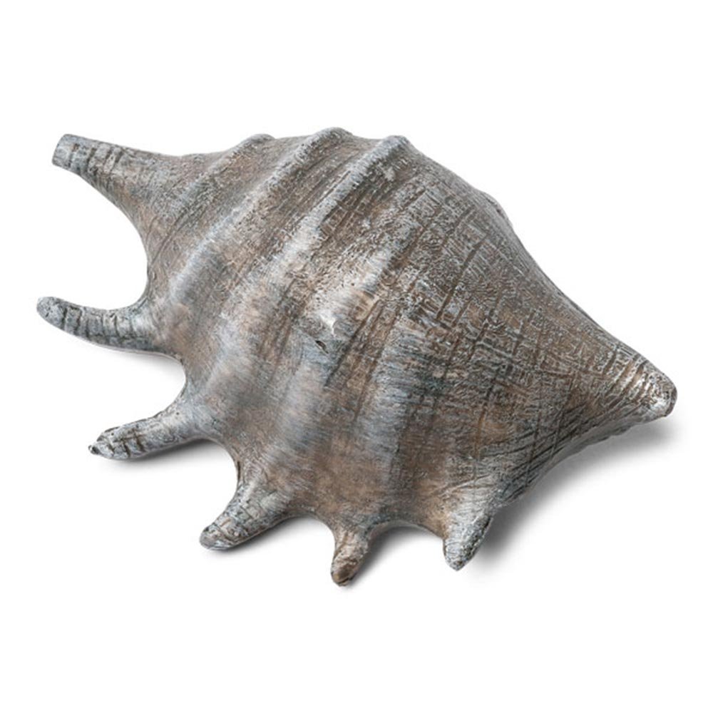 Harmaa simpukka, 12cm