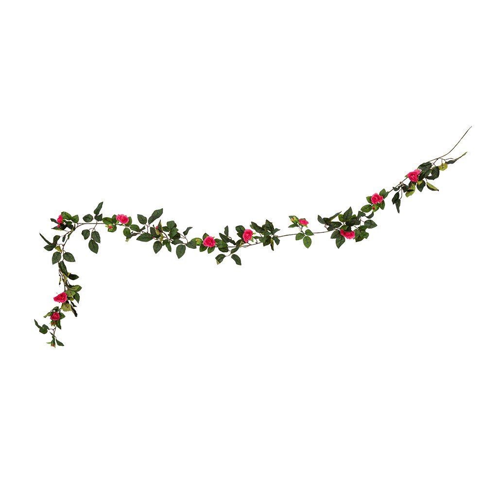 Ruusuköynnös - Fuksia, 1,85m