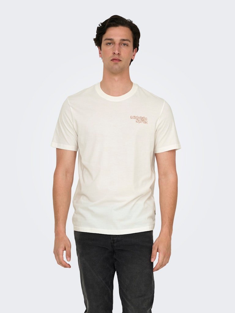 Only and Sons miesten t-paita, CHRIS LIFE REG SS TEE Cloud Dancer