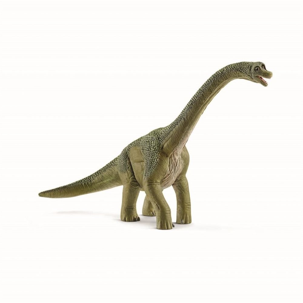 Brachiosaurus, 30cm