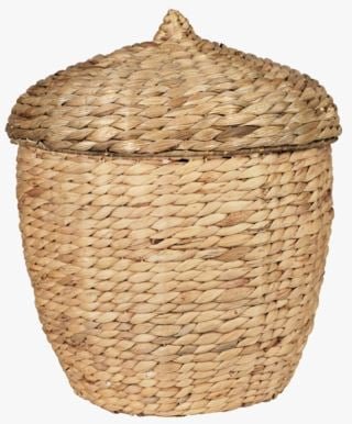 Acorn kori suuri luonnonväri