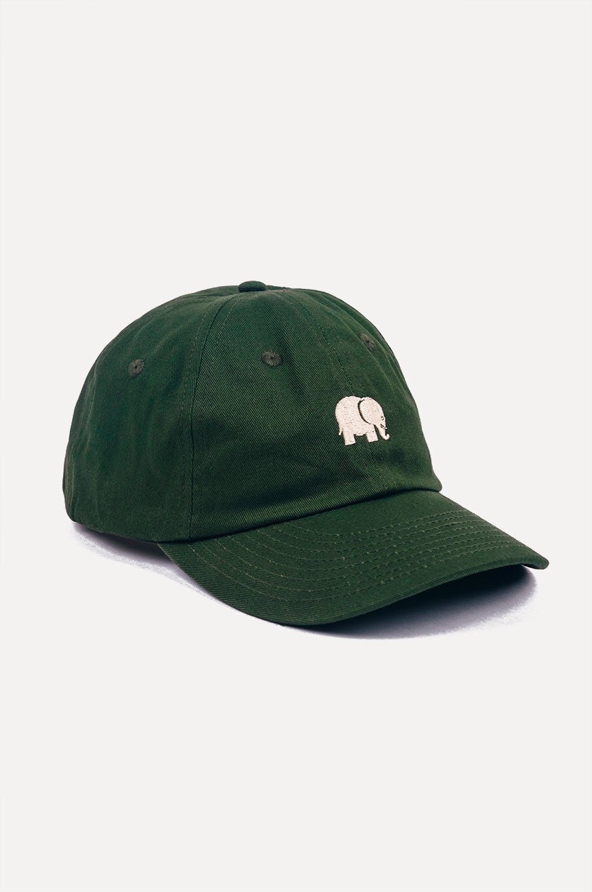 Logo Dad Cap Kombu Green