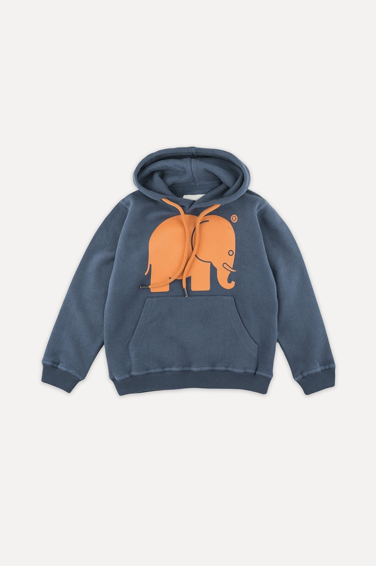 Kids' Organic Classic Hoodie Trendsplant Blue