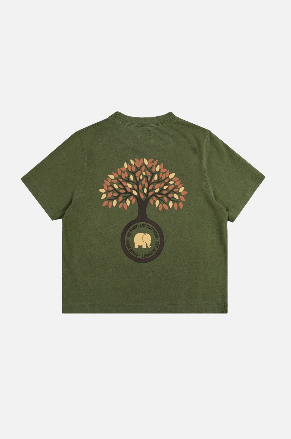 Women's Fafe Pigment T-Shirt Oak Green