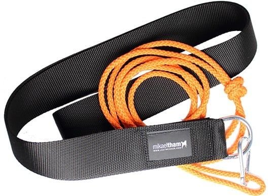 Mikael Tham riistan vetonaru