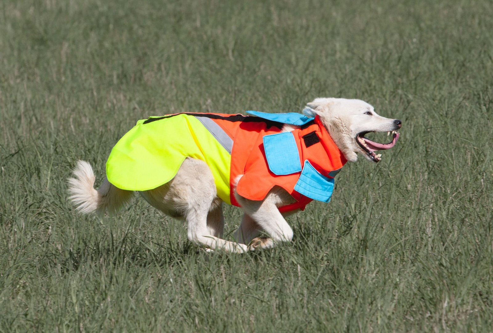 Mikael Tham Tuskproof Boar v.5 suojaliivi, XXL, Orange