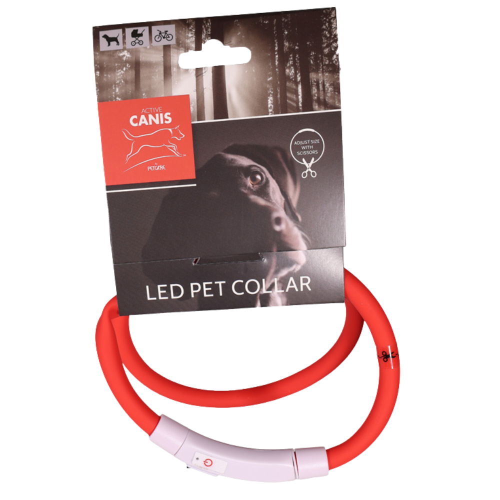 Active Canis USB Led Collar Red