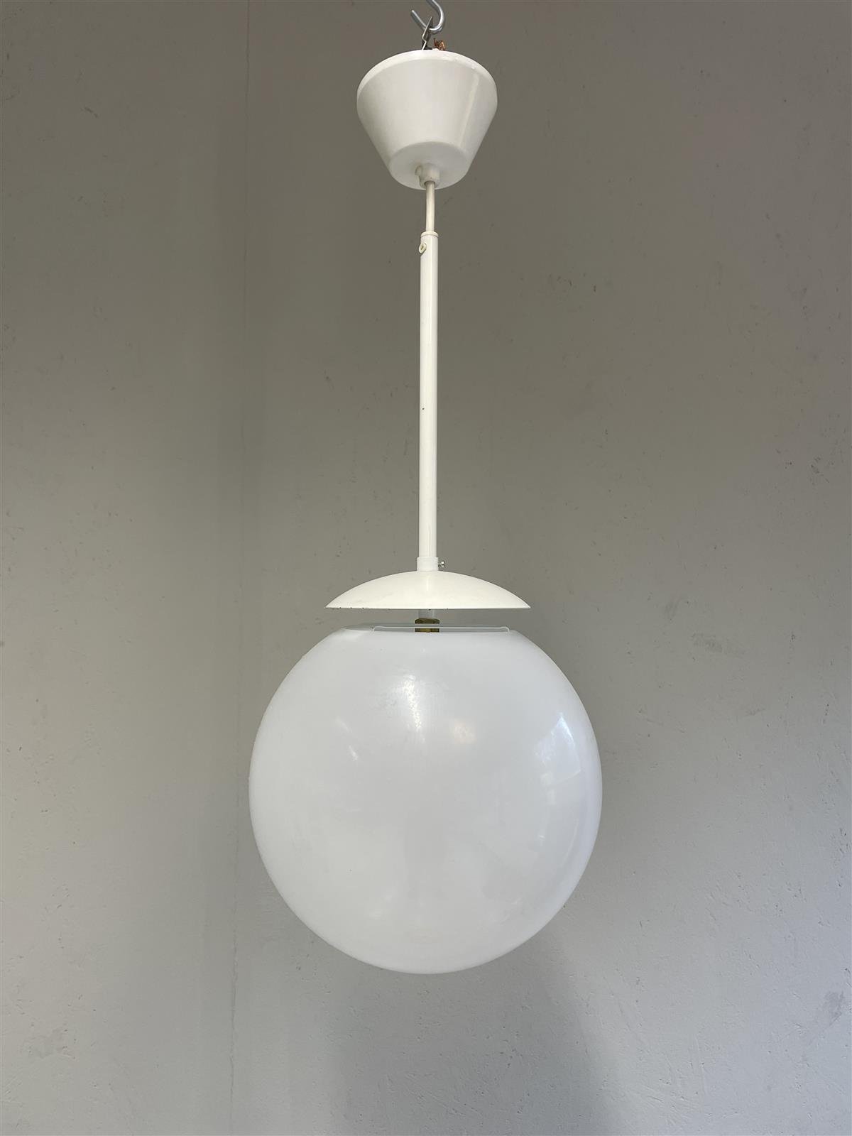 Kattovalaisin pallovalaisin