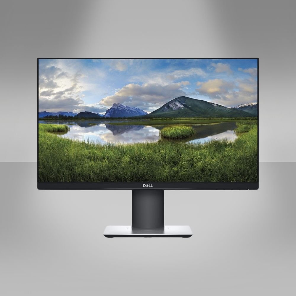 Dell Professional P2419H 24"