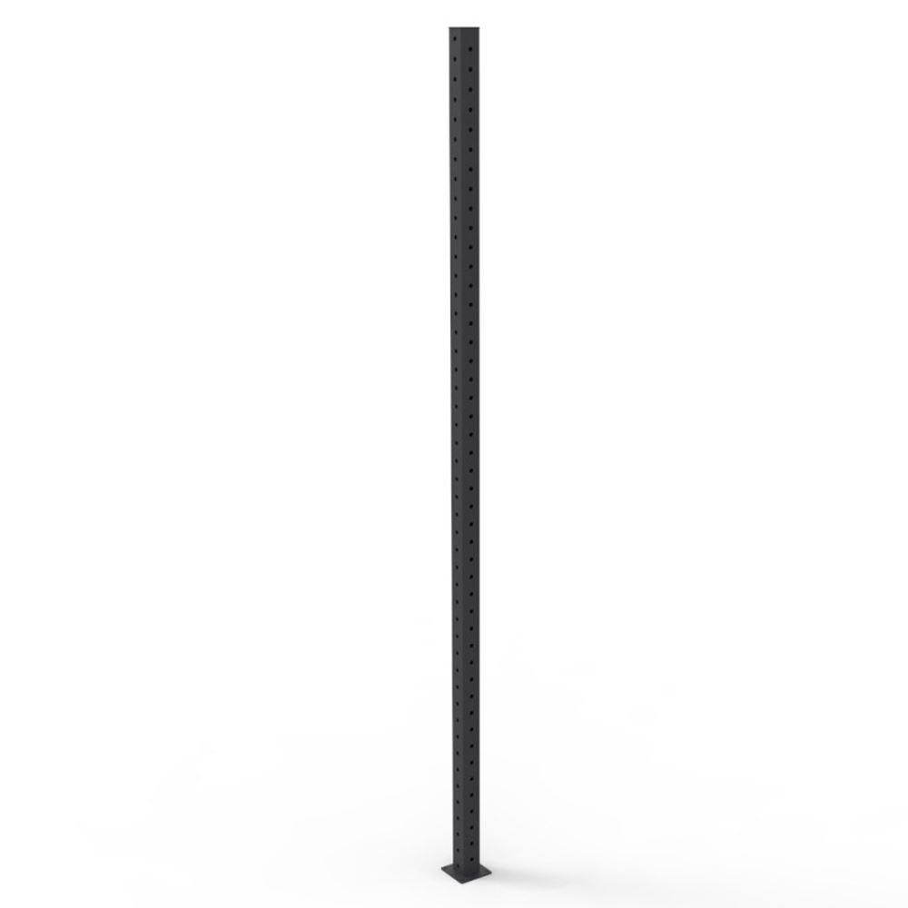 Eleiko Jalka XF 80, Crossfit rig Eleiko