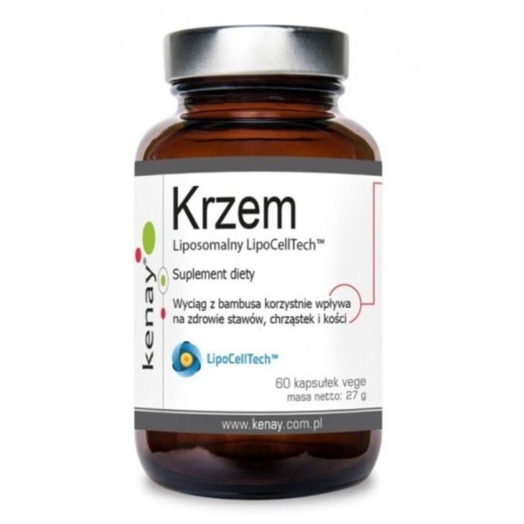 LIPOSOMAALINEN PII / LipoCellTech / 60 kaps.