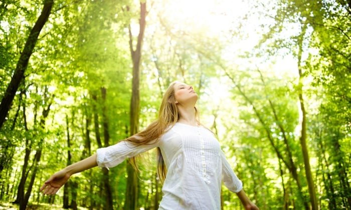 Energeettinen etähoitovalmennus tai teemahoidot vain | Säästä 72 % - -hoito