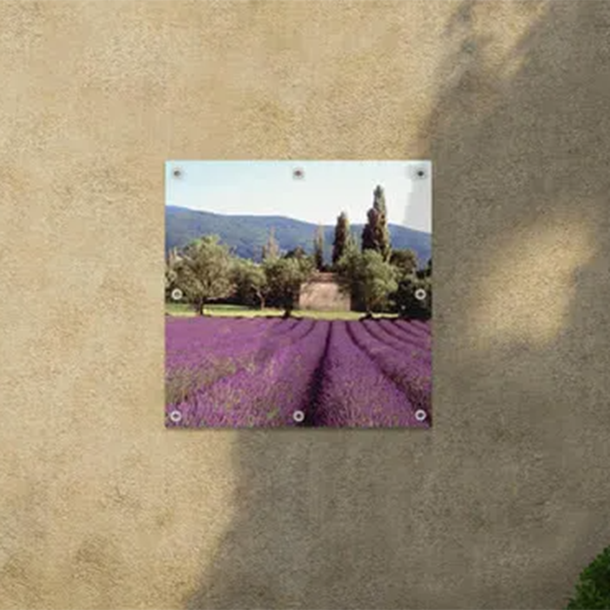 smartphoto Vinyylijuliste 60 x 60 cm