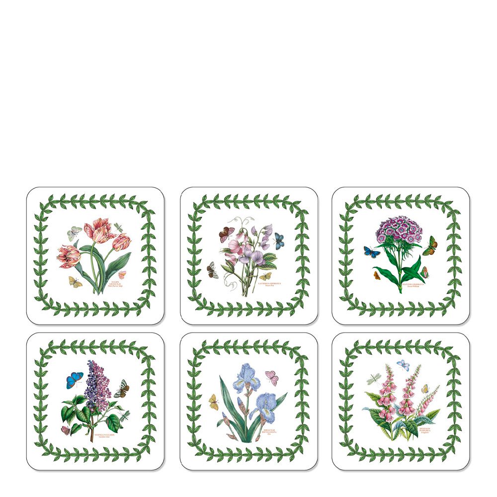 Pimpernel Botanic Garden Lasinalunen 6 kpl