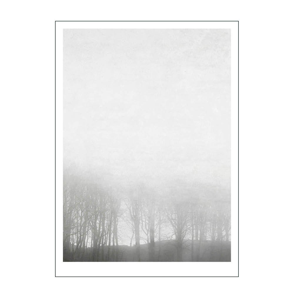 Poster & Frame  Ingrey Studio Juliste 30x40 cm Morning fog
