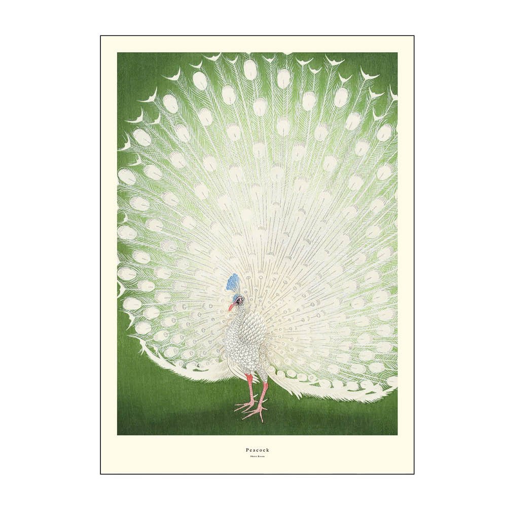 Poster & Frame  A.P. Atelier Juliste 50x70 cm Peacock