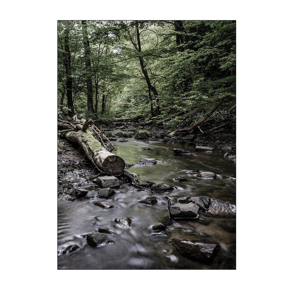 Poster & Frame  Foto Factory Juliste 50x70 cm Kobbe Å