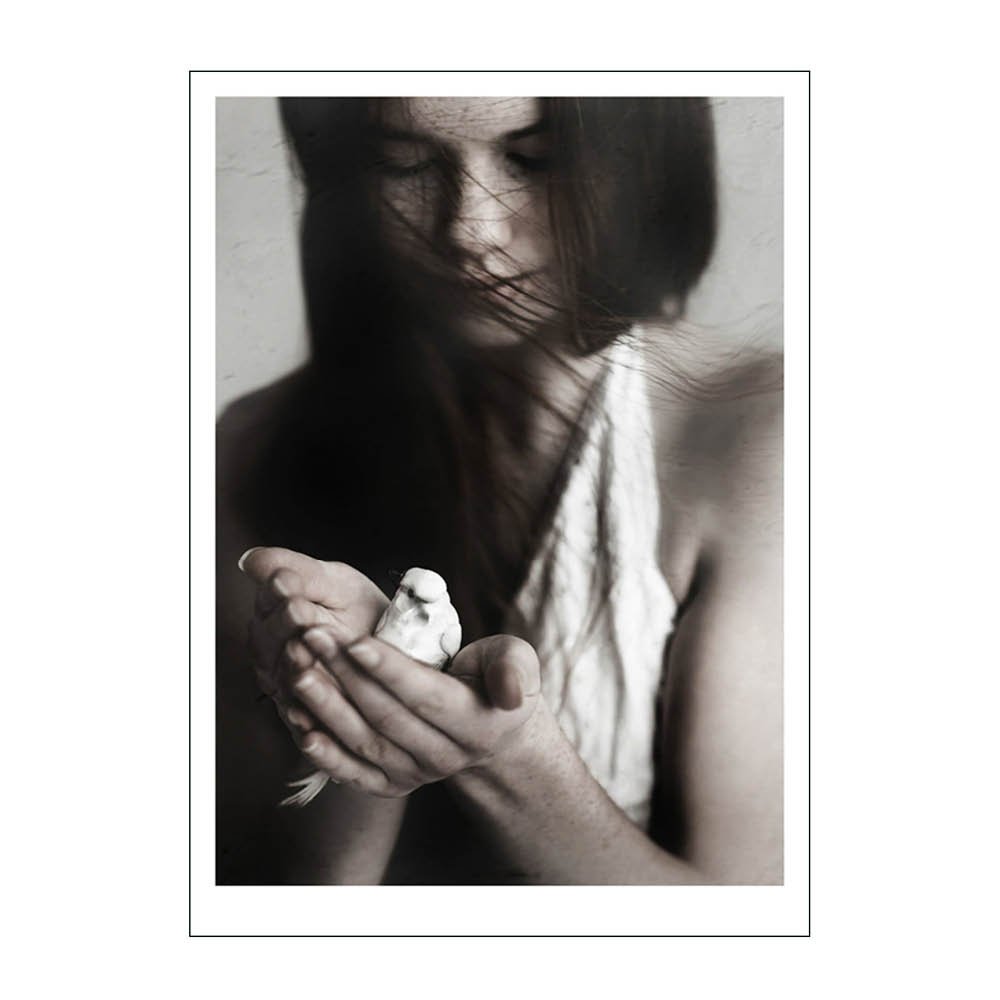 Poster & Frame  Ingrey Studio juliste 50x70 cm Girl & bird