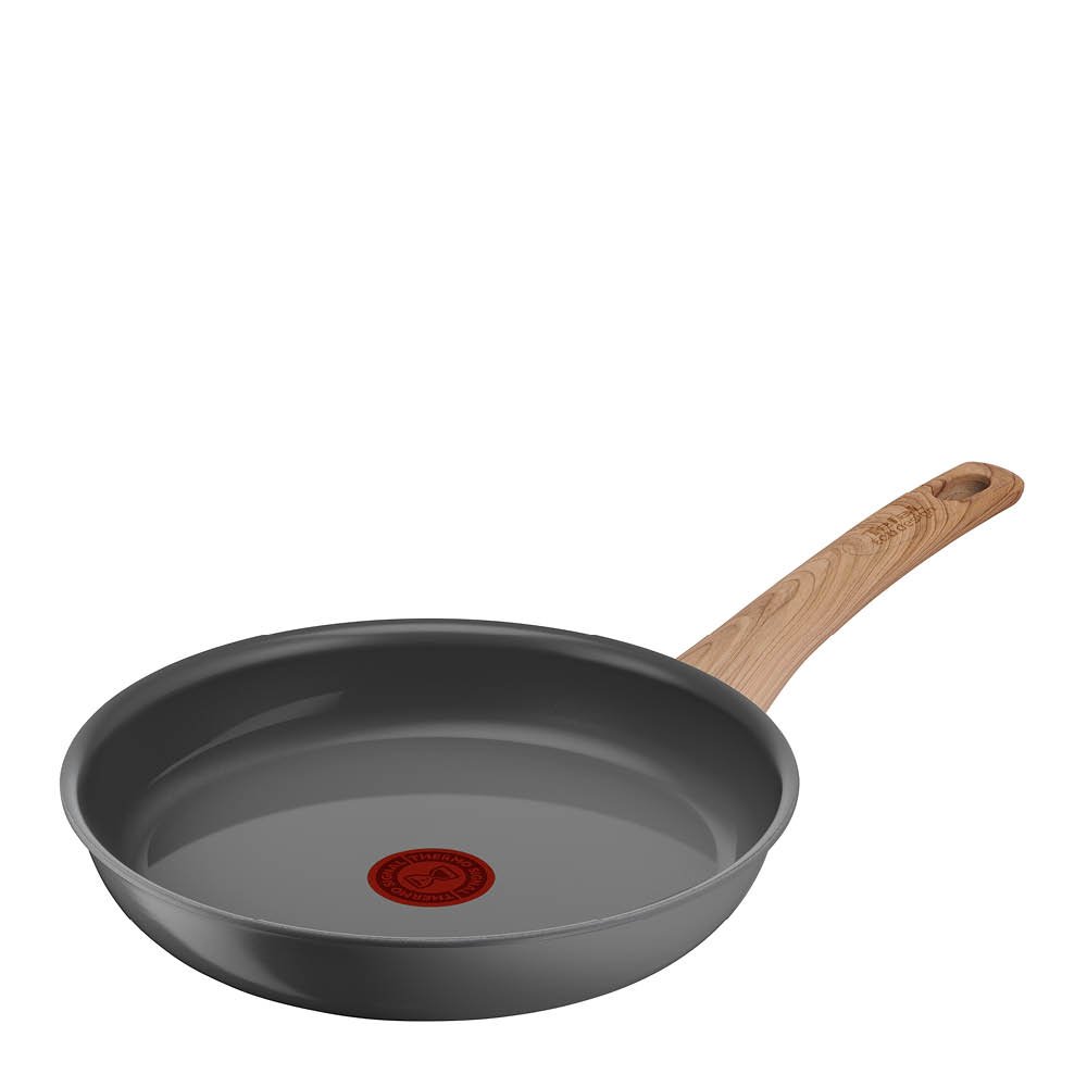 Tefal  Renew Paistinpannu 24 cm Harmaa