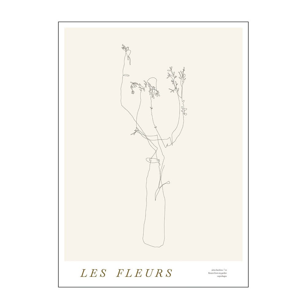 Poster & Frame  Mie & Him Juliste 50x70 cm Les fleurs 02