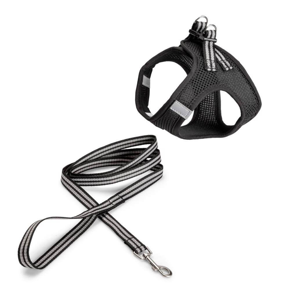 Kissan valjaat ja talutin Basic Sporty