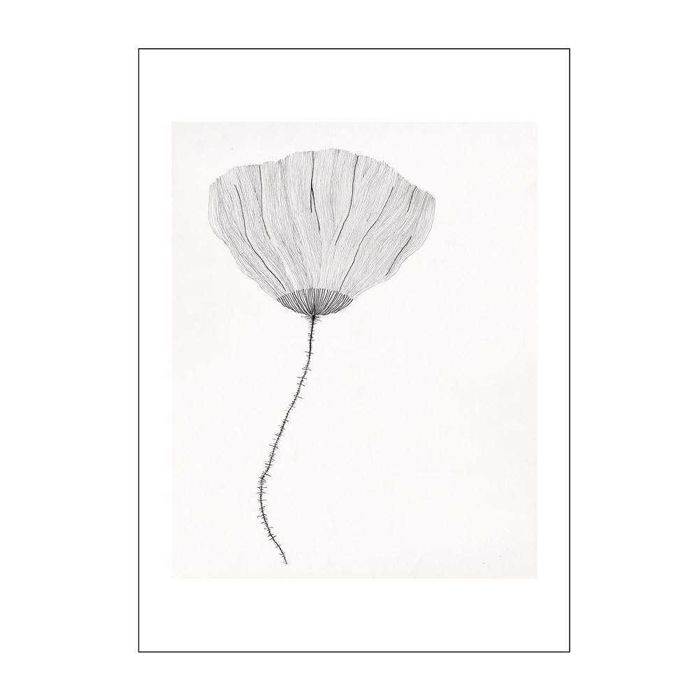 Poster & Frame  The Poster Club x Ana Frois Juliste 50x70 cm Poppy